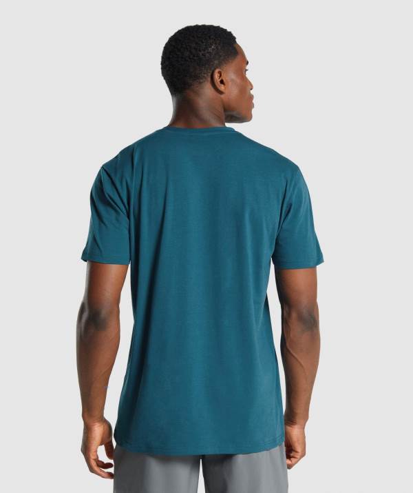 Panske Tricka Gymshark Sharkhead Infill Tyrkysové | QL7431809